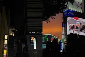 Shinjuku Evening Walk & Traditional Snack Bar Visit