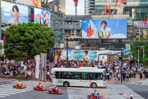 Shinjuku Go Karting Tour hauskan puvun kanssa