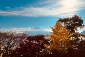 Shinjuku: Tour panoramico del Monte Fuji e shopping di un giorno