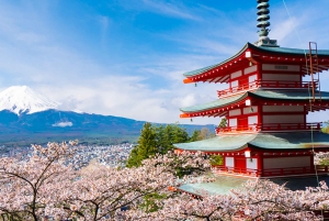 Shinjuku: Tour panoramico del Monte Fuji e shopping di un giorno