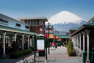 Shinjuku: Tour panoramico del Monte Fuji e shopping di un giorno