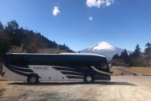 Shinjuku: Mount Fuji Panoramic View and Shopping Day Tour