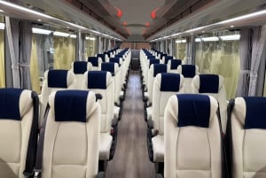 Shinjuku: Mount Fuji Panoramic View and Shopping Day Tour