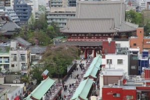 Skyttelbuss-tur Tokyo i 4 timer eller 6 timer + transporttid