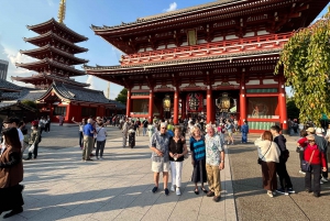 Skyttelbuss-tur Tokyo i 4 timer eller 6 timer + transporttid