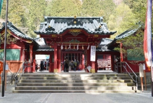Atemberaubende Aussicht auf den Tagestour zum Fuji & Hakone ab Tokio