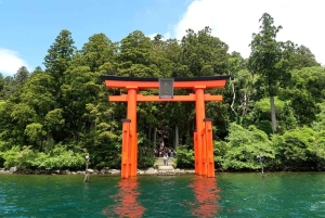 Atemberaubende Aussicht auf den Tagestour zum Fuji & Hakone ab Tokio