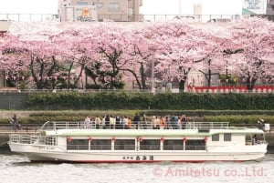 Sumida River: Japanese Traditional Yakatabune Dinner Cruise