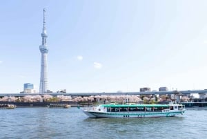 Sumida River: Japanese Traditional Yakatabune Dinner Cruise