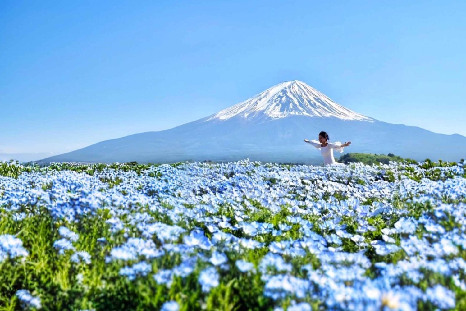 [Summer Limited] Mt. Fuji 5th Station & Hot Spring Day Tour