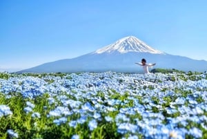 [Limitato alla stagione] Tour giornaliero della 5ª stazione del Monte Fuji e delle sorgenti termali