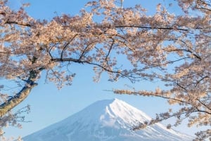 [Limitato alla stagione] Tour giornaliero della 5ª stazione del Monte Fuji e delle sorgenti termali