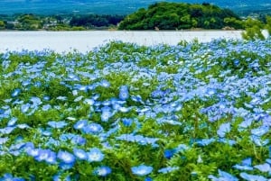 [Limitato alla stagione] Tour giornaliero della 5ª stazione del Monte Fuji e delle sorgenti termali