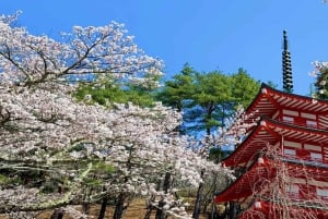 [Limitato alla stagione] Tour giornaliero della 5ª stazione del Monte Fuji e delle sorgenti termali