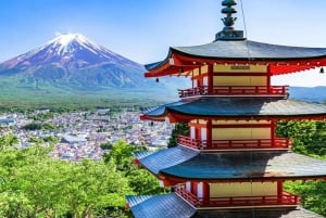 [Limitato alla stagione] Tour giornaliero della 5ª stazione del Monte Fuji e delle sorgenti termali