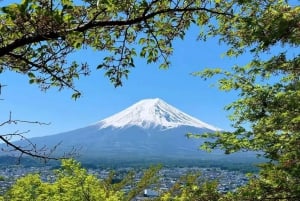 [Limitato alla stagione] Tour giornaliero della 5ª stazione del Monte Fuji e delle sorgenti termali
