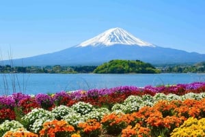 [Limitato alla stagione] Tour giornaliero della 5ª stazione del Monte Fuji e delle sorgenti termali