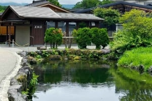 [Limitato alla stagione] Tour giornaliero della 5ª stazione del Monte Fuji e delle sorgenti termali