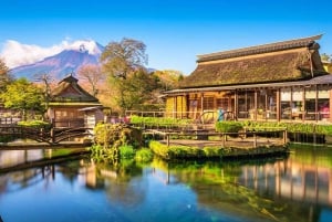 [Limitato alla stagione] Tour giornaliero della 5ª stazione del Monte Fuji e delle sorgenti termali
