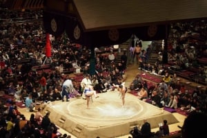 Grand Sumo -turnaus lisensoidun oppaan kanssa [paikka B] tammikuu 2026