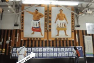 Grand Sumo -turnaus lisensoidun oppaan kanssa [paikka B] tammikuu 2026