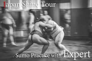 Sumo Practice Watch with Specialist in Tokyo