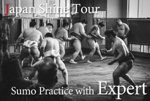 Sumo Practice Watch with Specialist in Tokyo