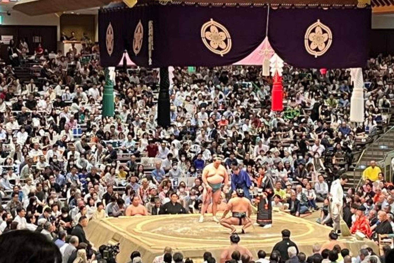 Tokyo: Sumo och rundvandring i Ryogoku-området