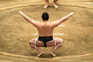 Tokyo: Shinjuku Sumo Show & Experience med drycker och foto