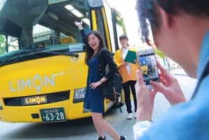 Enkele reis met de bus: van Tokio naar Takayama