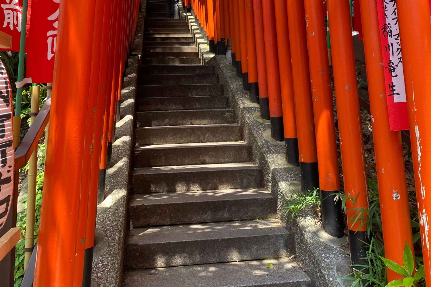 Tameike: Erkundungstour durch das Herz der japanischen Politik