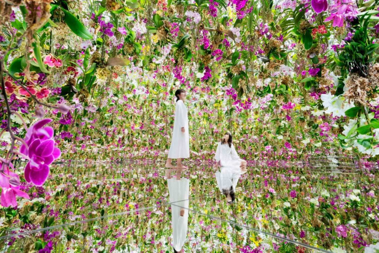 teamLab Planets TOKYO: Biglietto d'ingresso al museo d'arte digitale