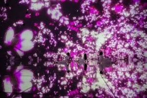 teamLab Planets TOKYO: Digital Art Museum Entrance Ticket