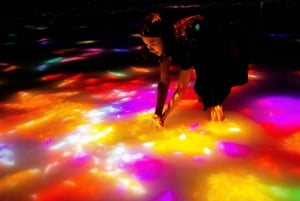 teamLab Planets TOKYO: Digital Art Museum Entrance Ticket