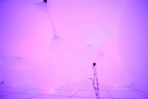 teamLab Planets TOKYO: Digital Art Museum Entrance Ticket