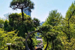 The best of Tokyo in one day – A cultural and spiritual tour