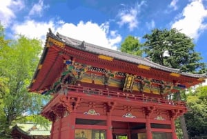 I sapori nascosti di Yanaka: lo storico quartiere gastronomico di Tokyo