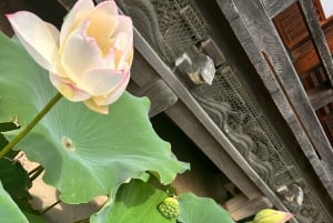 東京：プロの庭師ガイドがご案内する電動自転車で庭園をめぐるベーシックコース