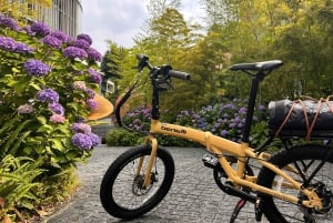 東京：プロの庭師ガイドがご案内する電動自転車で庭園をめぐるベーシックコース