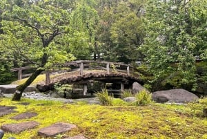 東京：プロの庭師ガイドがご案内する電動自転車で庭園をめぐるベーシックコース