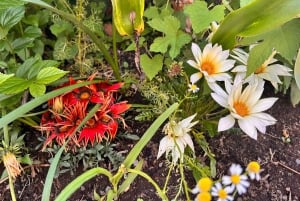 東京：プロの庭師ガイドがご案内する電動自転車で庭園をめぐるベーシックコース