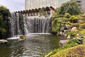 東京：プロの庭師ガイドがご案内する電動自転車で庭園をめぐるベーシックコース
