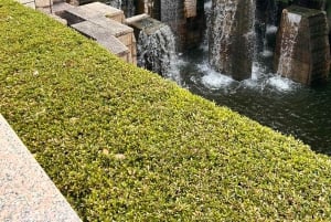 東京：プロの庭師ガイドがご案内する電動自転車で庭園をめぐるベーシックコース