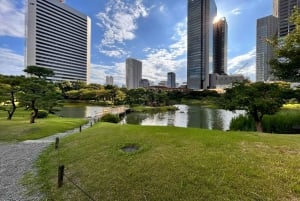 東京：プロの庭師ガイドがご案内する電動自転車で庭園をめぐるベーシックコース