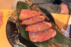 東京：プロの庭師ガイドがご案内する電動自転車で庭園をめぐるベーシックコース