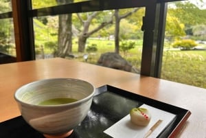 東京：プロの庭師ガイドがご案内する電動自転車で庭園をめぐるベーシックコース