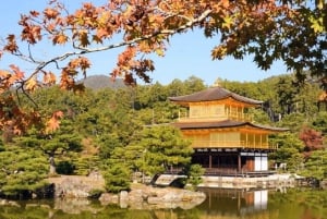 Lo spirito di Tokyo: passato, presente, per sempre in un tour guidato