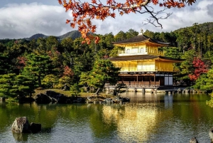 Lo spirito di Tokyo: passato, presente, per sempre in un tour guidato