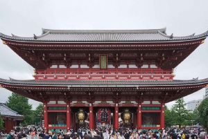 Lo spirito di Tokyo: passato, presente, per sempre in un tour guidato
