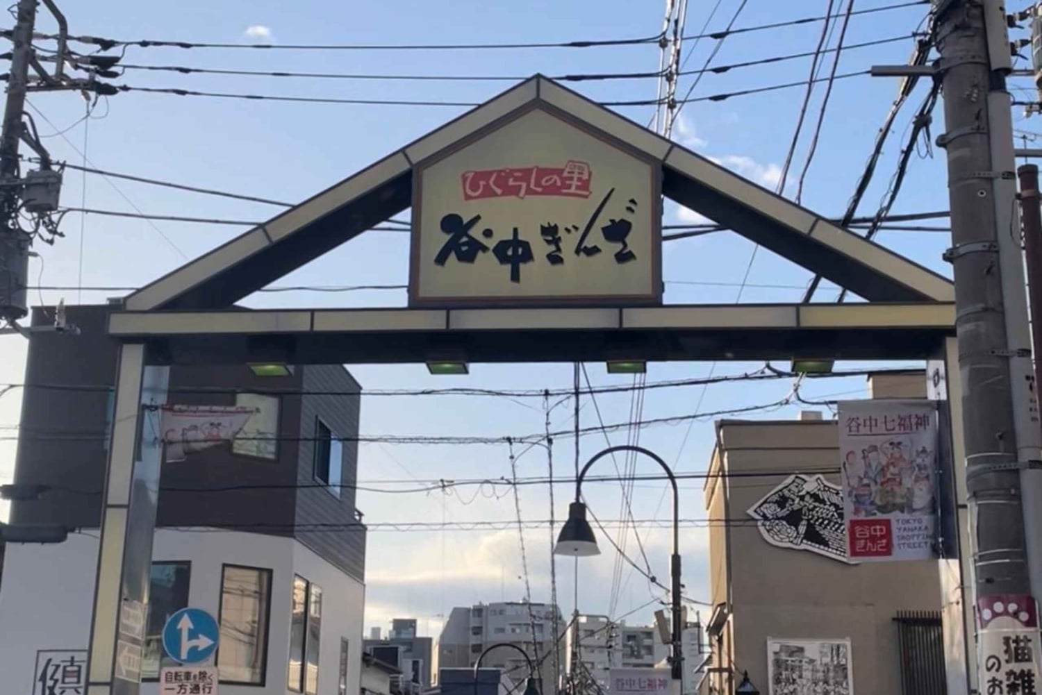 Вневременный Токио Янака: скрытые вкусы и дух старого Токио